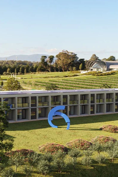 Levantine Hill